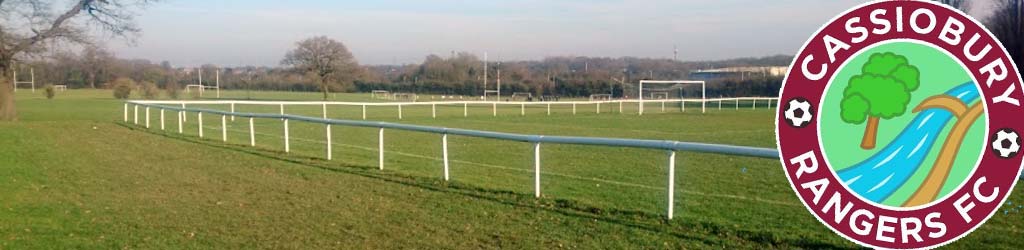 Thomas Parmiter Sports Centre Grass Pitch